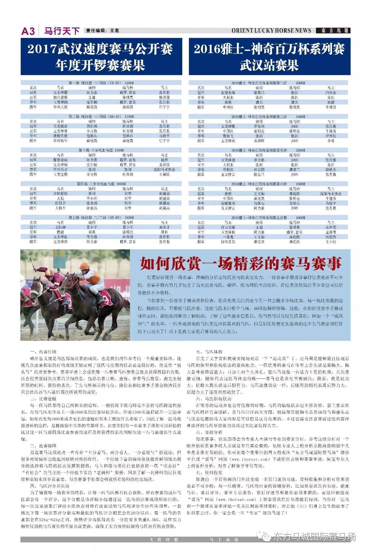 2024-2025澳门正版马报资料,富强解释解析落实