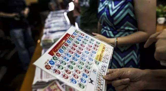 二码中特期期准资料,富强解释解析落实