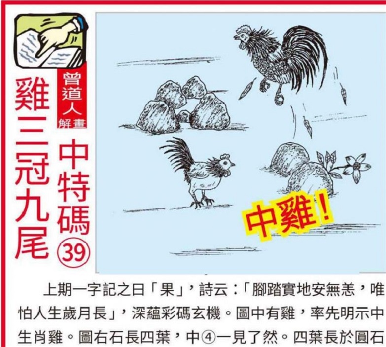 2024-2025新澳正版资料大全旅游团,精选解释解析落实