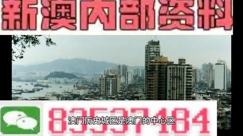 新澳门精准的资料大全,全面释义解释落实