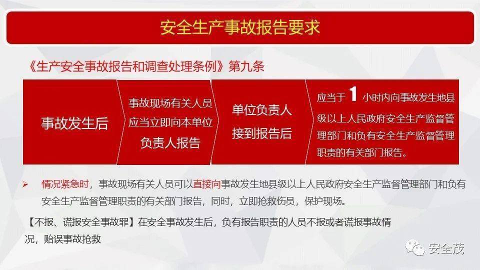 494949开奖结果最快,全面释义解释落实