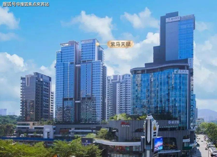 新奥门免费资料大全历史记录开马,全面释义解释落实