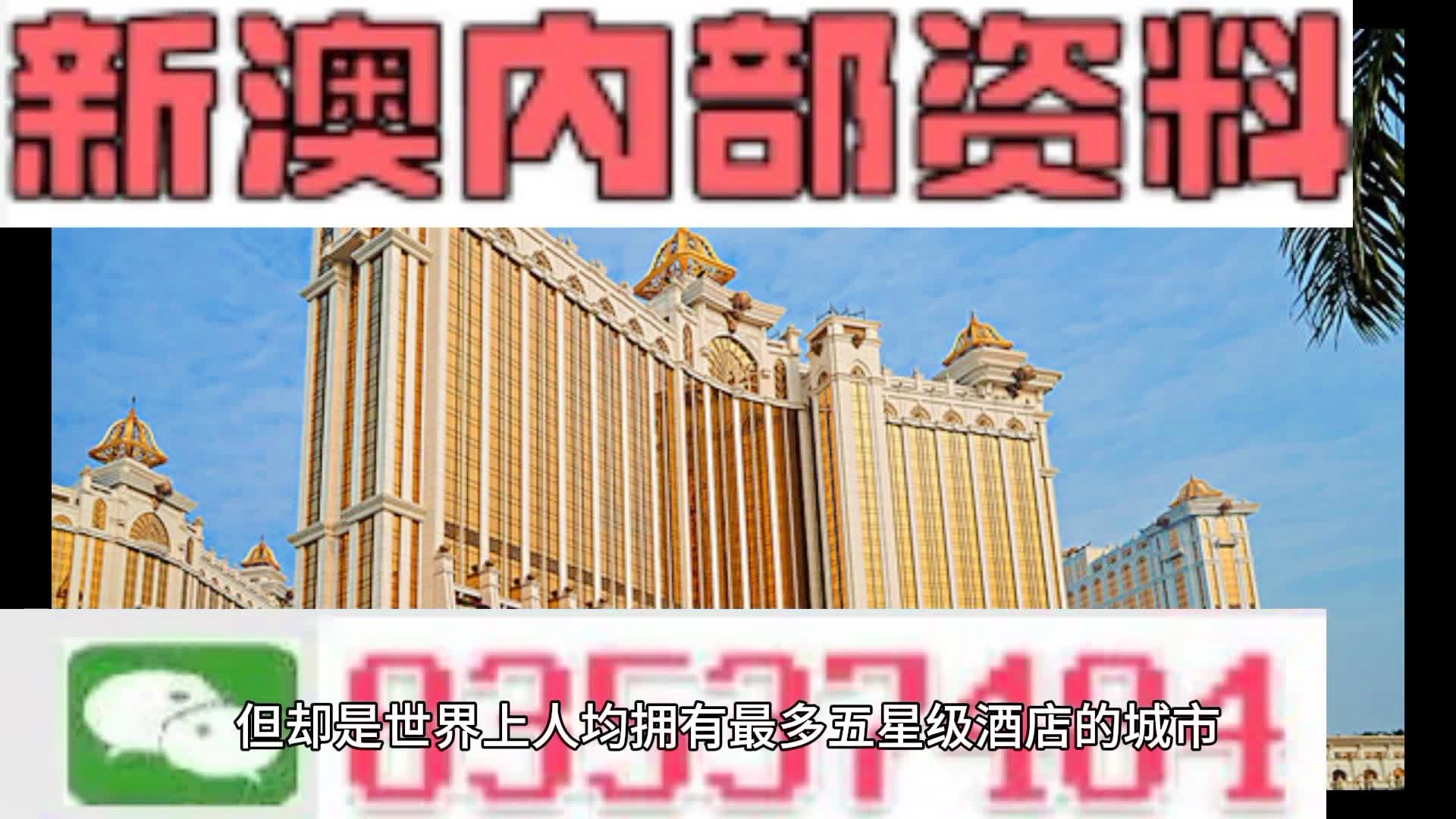 新奥门免费公开资料,新澳门免费公开资料，探索与理解