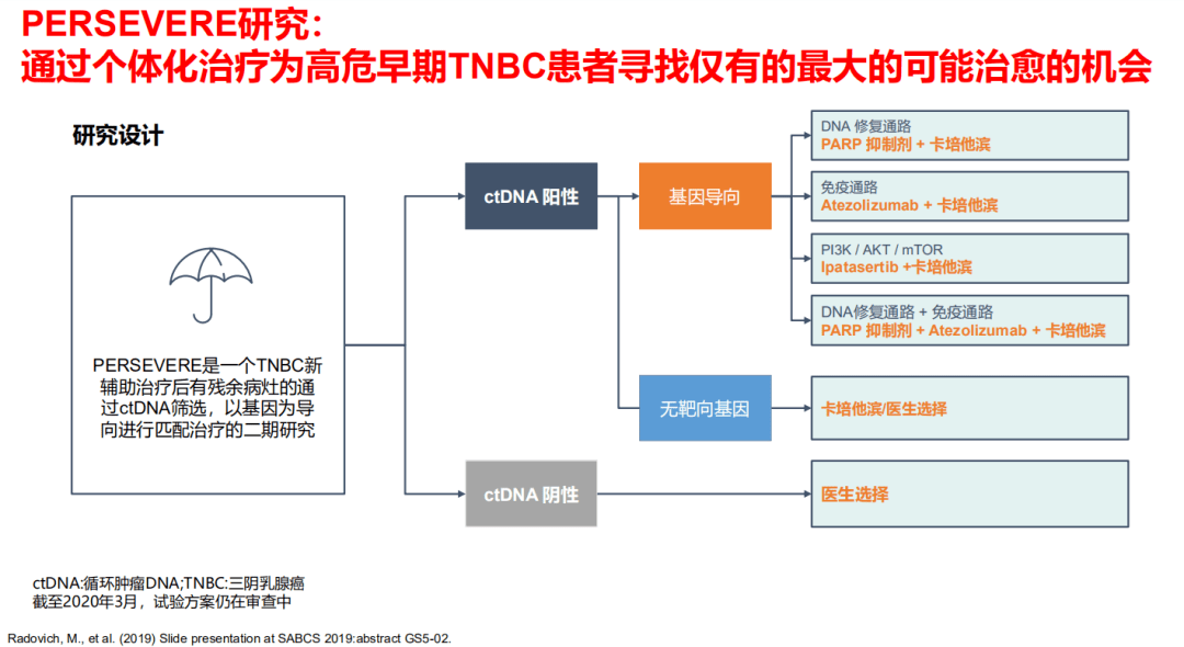 2025新澳精准资料,探索未来之路，解析新澳精准资料在2025年的蓝图