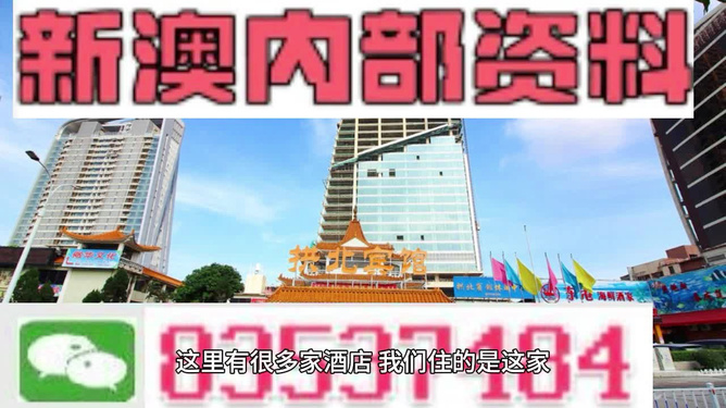 新澳2025年精准特马资料,新澳2025年精准特马资料分析与展望